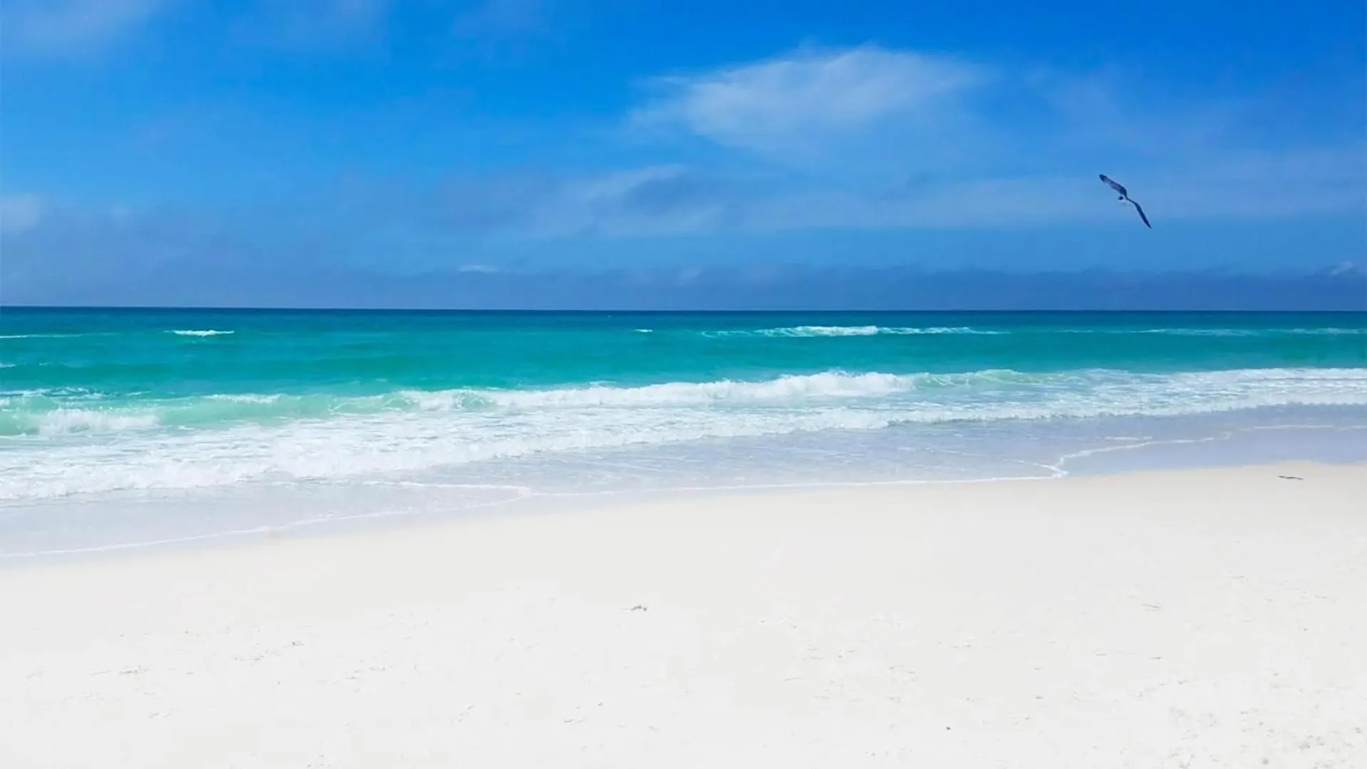 Aqua Resort 811 Panama City Beach 0*,  United States